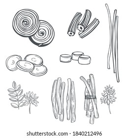 Hand drawn Licorice sweets. Vector sketch  illustration.
