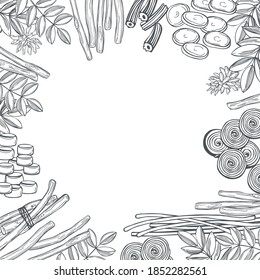Hand drawn Licorice sweets. Vector background. Sketch  illustration.