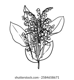 Hand drawn lilies of the valley bouquet with blooms and leaves. Black outline of beautiful winter flowers isolated on a white background. Illustration for online and print projects.