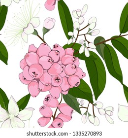 hand drawn lilly pilly flower and riberry,australia native plant seamless pattern in vector