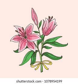 Hand drawn lily bouquet. Beautiful pink flowers. Spring symbol.