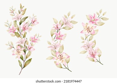 hand drawn lily floral branch design