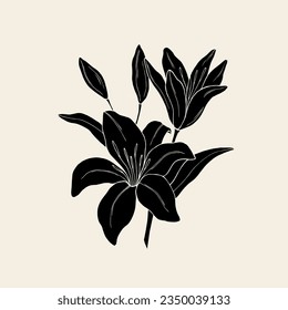 Hand drawn lily flower illustration