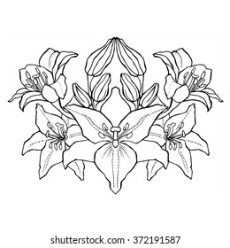 Hand drawn lily flowers bouquet unusual mirrored design symmetrical wedding invitation element, symbol of love and purity, bridal blooms arrangement bunch - stock vector page for adult coloring book