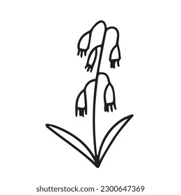 Hand drawn lily of the valley doodle illustration. Doodle lily of the valley flower vector sketch