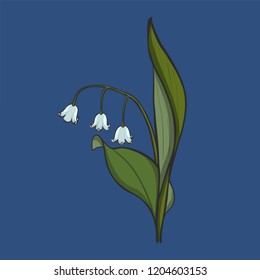Hand drawn Lily of the valley, vector