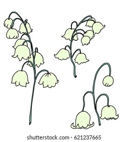 Hand drawn Lily of the volley isolate vector set