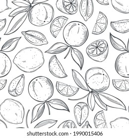 Hand drawn lime fruits on white background.Vector  seamless pattern. 