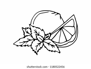 
Hand drawn lime and mint for medicinal, for cooking, cosmetics, store, health care, tag label, food design. Botanical illustrations for tags. Vector sketches.

