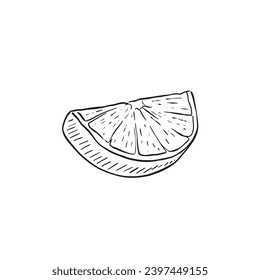 Hand drawn lime segment in black and white. Drawn in a sketchy style using simple line drawn techniques. Sketchy vector. 