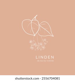 Hand drawn linden blossoms composition. Simple floral design on pink background