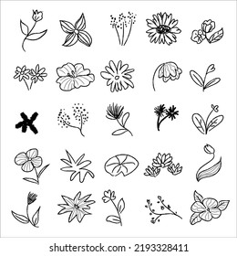 Hand drawn line art abstract flowers