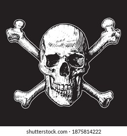 Hand drawn line art anatomically correct human skulls set isolated vector illustration. like a pirates jolly roger