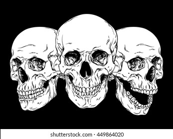 Hand drawn line art anatomically correct human skulls set isolated vector illustration