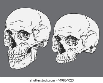 Hand drawn line art anatomically correct human skulls set isolated vector illustration