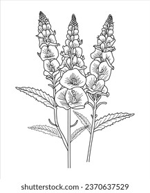 Hand drawn line art beautiful foxglove flower illustration anti-stress coloring book page for adults. Floral print. Outline poppies. Perfect for coloring book, invitation, greeting card, print.