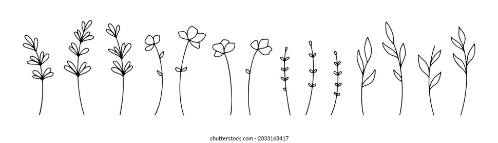 Hand drawn line art botanical elements isolated on white background. Vector flowers and branches for decoration design. Boho floral elements. Vector set with meadow flowers, herbs and wild plants