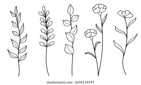  Hand drawn line art botanical stems and flower elements collection. Vector illustration.