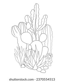 Hand drawn line art cactus plants and succulents illustration Coloring book page antistress for children and adults. Perfect for coloring book, invitation, greeting card, print. Black and white vector