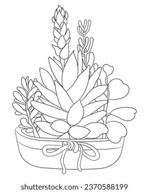 Hand drawn line art cactus and succulents bouquet in pot illustration coloring book page antistress for children and adults. Perfect for coloring book, invitation, greeting card, print. Black outline.