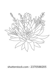 Hand drawn line art cactus and succulents bouquet illustration coloring book page antistress for children and adults. Perfect for coloring book, invitation, greeting card, print. Black outline.