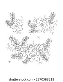 Hand drawn line art cactus and succulents bouquet illustration coloring book page antistress for children and adults. Perfect for coloring book, invitation, greeting card, print. Black outline.