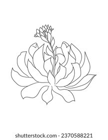 Hand drawn line art cactus and succulents bouquet illustration coloring book page antistress for children and adults. Perfect for coloring book, invitation, greeting card, print. Black outline.
