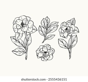 Hand drawn line art camellia flowers collection