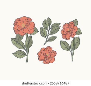 Hand drawn line art camellia flowers set