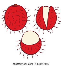 Hand drawn line art cartoon rambutan. Isolated vector flat illustration.