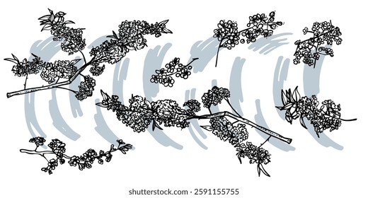 Hand drawn line art cherry blossoms on branches. Vector illustrations set of spring flowers. Elegant sketchy doodles of beautiful flowers. Graphic assets for print and online designs.