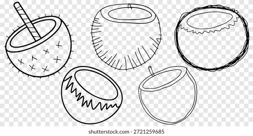 Conjunto de Coleção de Cocos de Arte com Linha Desenhada à Mão