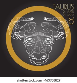 Hand drawn line art of decorative zodiac sign Taurus on black background. Horoscope vintage card in zentangle style. 