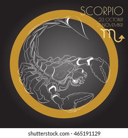 Hand drawn line art of decorative zodiac sign Scorpio on black background. Horoscope vintage card in zentangle style. 