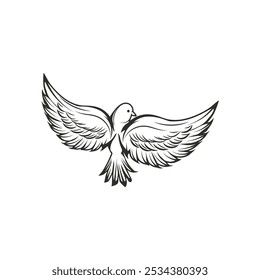 Hand Drawn Line Art Dove Illustration - 03