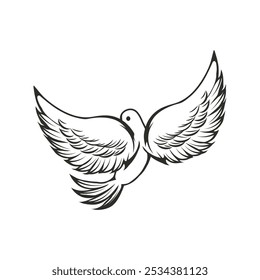 Hand Drawn Line Art Dove Illustration - 05