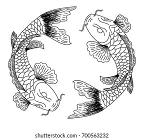 Hand drawn line art of fish (Koi carp). Vector isolated. Idea for tattoo and coloring books.