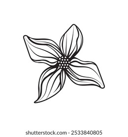 Hand Drawn Line Art Flower - 03