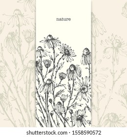 Hand drawn line art flowers. Wild daisy flowers, daisy buds in floral pattern vertical banner. Botanical ink illustration for ecological design.