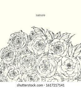 Hand drawn line art flowers. Roses bouquet with leaves on square background. Botanical ink illustration for holiday card or background.