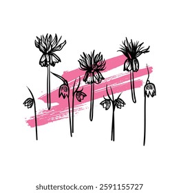 Hand drawn line art fritillaries. Vector illustrations set of spring flowers. Elegant sketchy doodles of beautiful flowers on pink sketched background. Graphic assets for print and online designs.