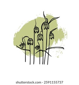 Hand drawn line art fritillaries. Vector illustrations of spring flowers. Elegant sketchy doodles of beautiful flowers on green sketched background. Graphic assets for print and online designs.