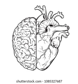 Hand drawn line art human brain   heart halfs    Logic   emotion priority concept  Print tattoo design isolated white background vector illustration