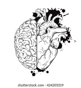 Hand drawn line art human brain   heart halfs  Grunge sketch tattoo design isolated white background vector illustration  Logic   emotion priority concept  