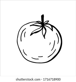 Hand drawn line art illustration. Drawing healthy food - tomato. Vector graphic. Can be used for printing on fabric, clothing, mugs, postcards and much more.