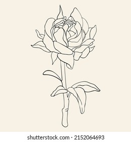 Hand drawn line art illustration. Detailed outline drawings. Templates for coloring books, tattoos, stickers, prints. Trendy black and white vector illustration with flower, leaves, buds.