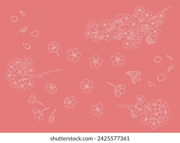 Hand drawn line art illustration materials of cherry blossoms_White
