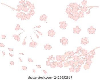 Hand drawn line art illustration materials of cherry blossoms_Pink