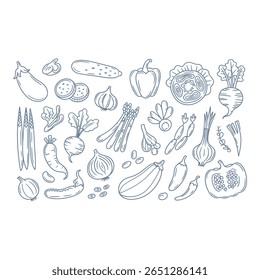 Hand drawn line art illustration of assorted fresh vegetables organic healthy farm fresh produce minimalist blue design vibrant clean aesthetic