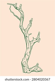hand drawn line art illustration of a weathered, dry tree branch. With its gnarly, organic form and textured bark, this design evokes a rustic, natural wilderness aesthetic perfect for outdoor, camping, and botanical-themed creative projects.